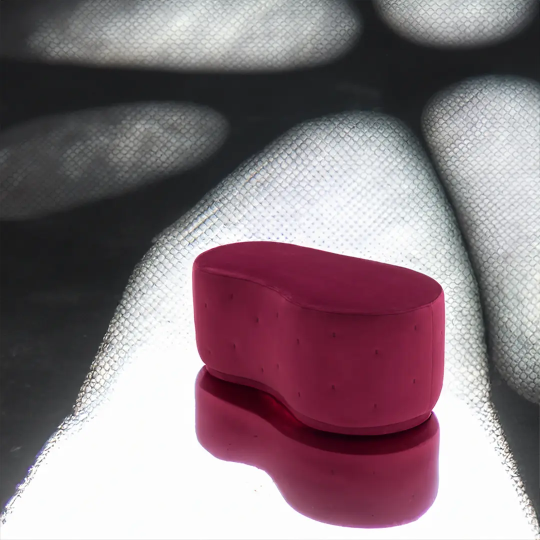 LC_cover_web_complements26 copia